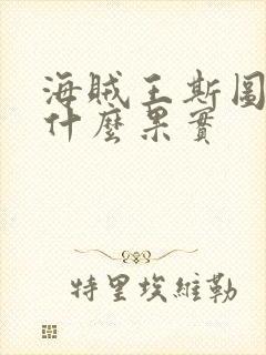海贼王斯图西是什么果实