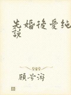 先婚后爱纯爱小说