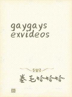 gaygaysexvideos