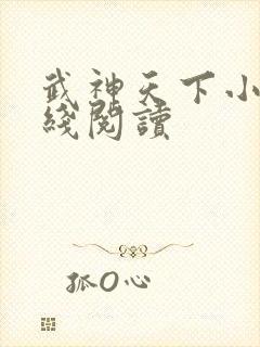 武神天下小说在线阅读