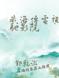 藏海传电视剧策驰影院