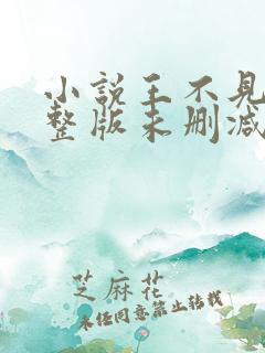 小说王不见王完整版未删减小说