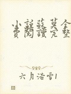 小说苏莫全文免费阅读完整版