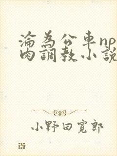 沦为公车np纯肉调教小说推荐