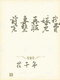 前妻再嫁我一次完整版免费阅读