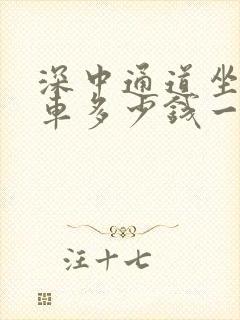 深中通道坐公交车多少钱一次
