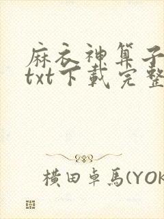 麻衣神算子小说txt下载完整版