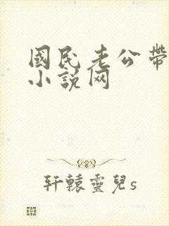 国民老公带回家小说网