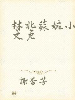 林北苏婉小说全文免