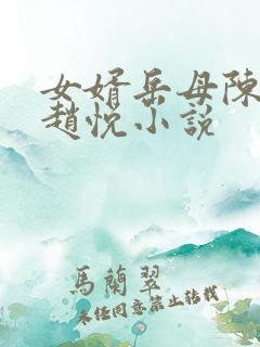 女婿岳母陈超,赵悦小说