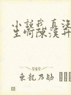 小说我真没想重生啊陈汉升最新章节列表