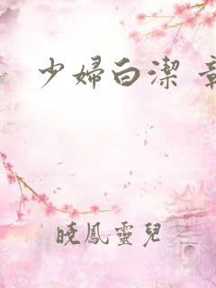 少妇白洁 章节