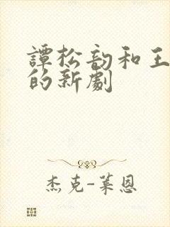 谭松韵和王鹤棣的新剧