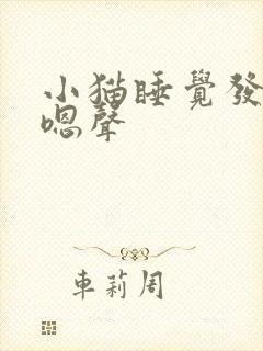小猫睡觉发出嗯嗯声