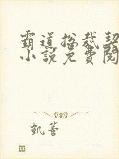 霸道总裁契约妻小说免费阅读