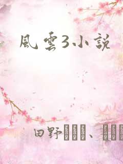 风云3小说