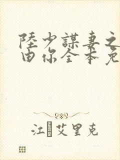 陆少谋妻之婚不由你全本免费阅读