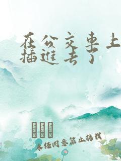 在公交车上被人插进去了