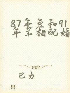 87年兔和91年羊相配婚姻如何