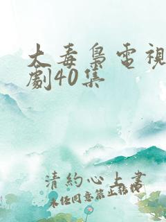 大毒枭电视连续剧40集