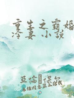 重生之霸婚豪门冷妻 小说