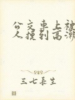 公交车上被陌生人摸到高潮
