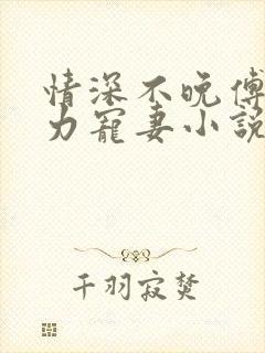 情深不晚傅少实力宠妻小说免费阅读
