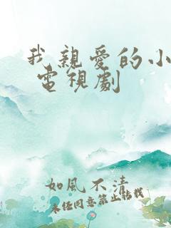 我亲爱的小冤家 电视剧