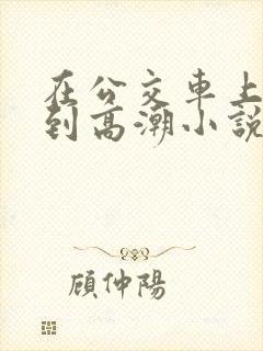 在公交车上被弄到高潮小说