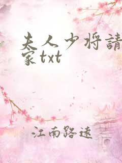 夫人少将请你回家txt