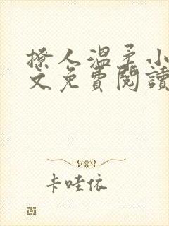 撩人温柔小说全文免费阅读无弹窗