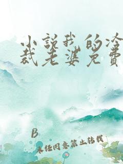 小说我的冷艳总裁老婆免费阅读