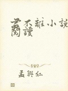 君不离小说免费阅读