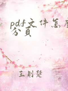 pdf文件怎么分页