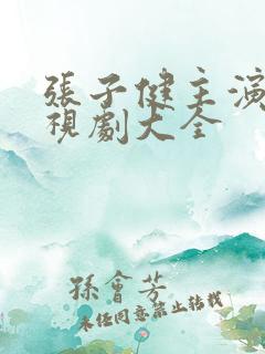 张子健主演的电视剧大全