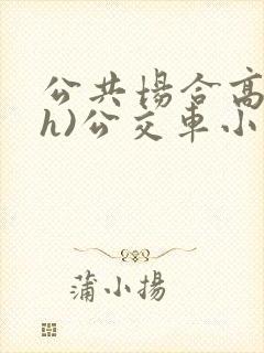 公共场合高潮(h)公交车小说