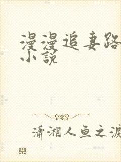 漫漫追妻路在线小说