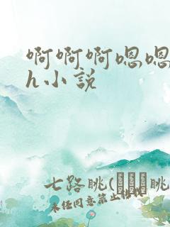 啊啊啊嗯嗯嗯高h小说