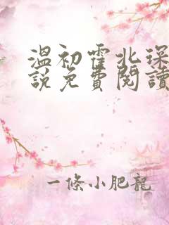 温初霍北琛的小说免费阅读无弹窗