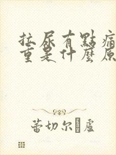 拉尿有点痛气味重是什么原因