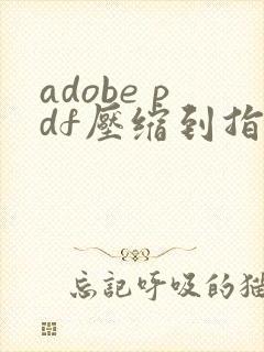 adobe pdf压缩到指定大小