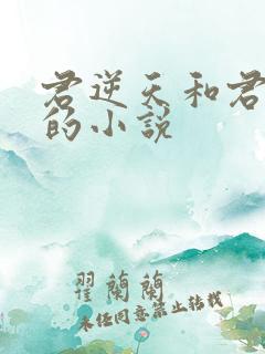 君逆天和君无邪的小说