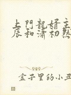 上门龙婿主角叶辰和潇初然