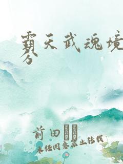 霸天武魂境界划分