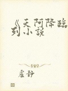 《天阿降临》系列小说