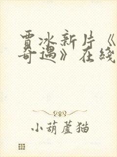 贾冰新片《电影奇遇》在线观看