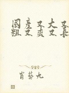 国产又大又黄又粗又爽又长视频