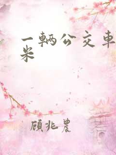 一辆公交车多少米