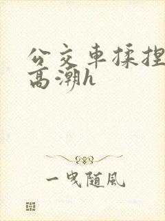 公交车揉捏花蒂高潮h