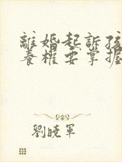 离婚起诉孩子抚养权要掌握哪些证据